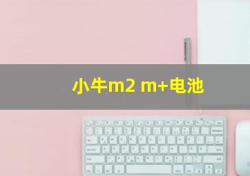 小牛m2 m+电池